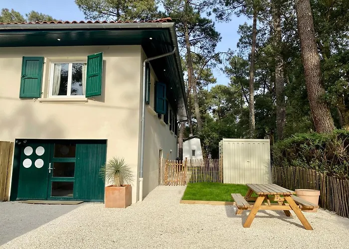 Clemence Green, Villa Hostal Naou Hossegor- Wifi - Sauna - Salle De Sport - Netflix