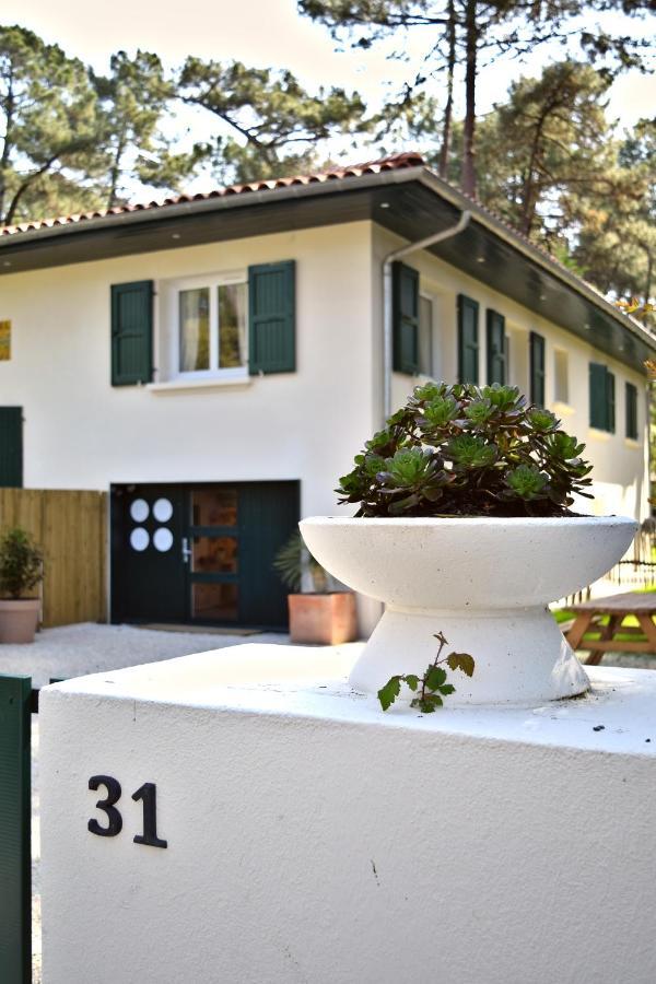 Apartment Clemence Green, Naou Hossegor- Wifi - Sauna - Salle De Sport - Netflix
